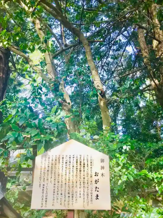大宝八幡宮の歴史