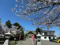烈々布神社の{uncategorized: "未分類", other: "その他", undefined: "問題あり", building: "その他建物", grave: "お墓", sacred_gate: "鳥居", guardian: "狛犬", statue: "像", buddha: "仏像", history: "歴史", nature: "自然", garden: "庭園", animal: "動物", pagoda: "塔", temizu: "手水舎", mountain_gate: "山門・神門", sanctuary: "本殿・本堂", subordinate: "末社・摂社", art: "芸術", scenery: "景色", jizo: "地蔵", ema: "絵馬", goshuin: "御朱印", omikuji: "おみくじ", items: "授与品その他", amulet: "お守り", goshuincho: "御朱印帳", eats: "食事", festival: "お祭り", votive_dance: "神楽", shichigosan: "七五三参", wedding: "結婚式", experience: "体験その他", initially: "初詣", around: "周辺", anti_infection: "感染症対策"}