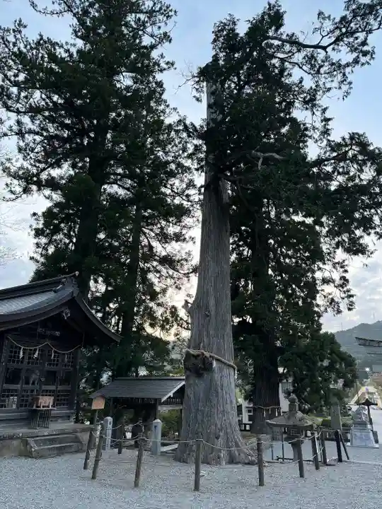 飛驒一宮水無神社(岐阜県)