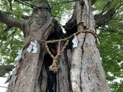 三ツ木神社(埼玉県)