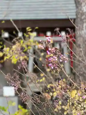 多摩川浅間神社(東京都)