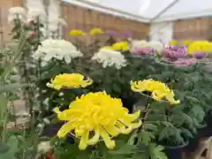 國魂神社の自然