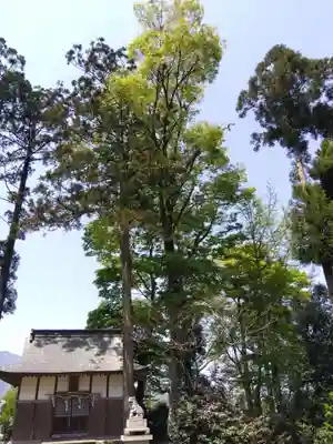 国生大野神社(福井県)