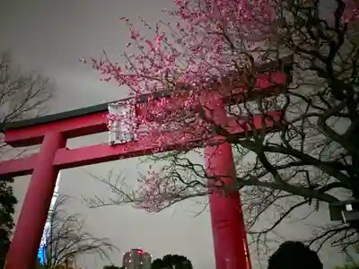 亀戸天神社(東京都)