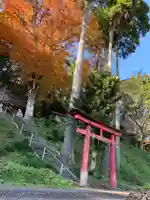 熱田神社の自然