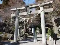 渋川八幡宮の鳥居