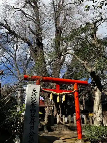 宮城野八幡神社(宮城県)