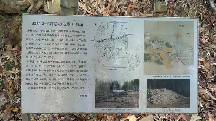 勝持寺(花の寺)(京都府)