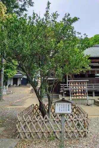 上地八幡宮の庭園