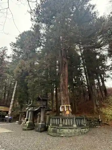 諏訪大社下社春宮の{uncategorized: "未分類", other: "その他", undefined: "問題あり", building: "その他建物", grave: "お墓", sacred_gate: "鳥居", guardian: "狛犬", statue: "像", buddha: "仏像", history: "歴史", nature: "自然", garden: "庭園", animal: "動物", pagoda: "塔", temizu: "手水舎", mountain_gate: "山門・神門", sanctuary: "本殿・本堂", subordinate: "末社・摂社", art: "芸術", scenery: "景色", jizo: "地蔵", ema: "絵馬", goshuin: "御朱印", omikuji: "おみくじ", items: "授与品その他", amulet: "お守り", goshuincho: "御朱印帳", eats: "食事", festival: "お祭り", votive_dance: "神楽", shichigosan: "七五三参", wedding: "結婚式", experience: "体験その他", initially: "初詣", around: "周辺", anti_infection: "感染症対策"}