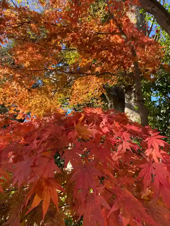 比々多神社の自然