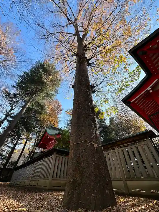 小野神社の自然