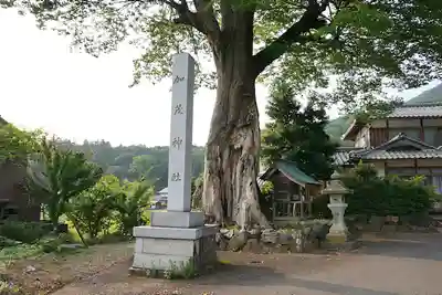 加茂神社(福井県)