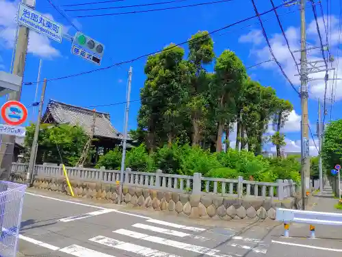 天神社（治郎丸東）の自然