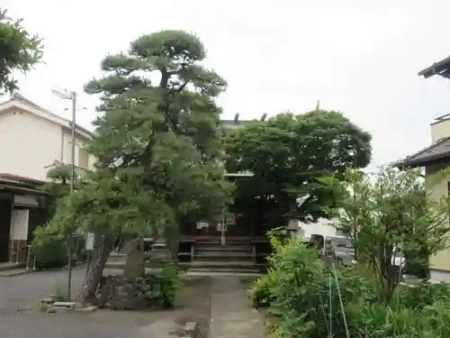 入間川大国神社(埼玉県)