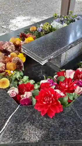 新琴似神社の手水