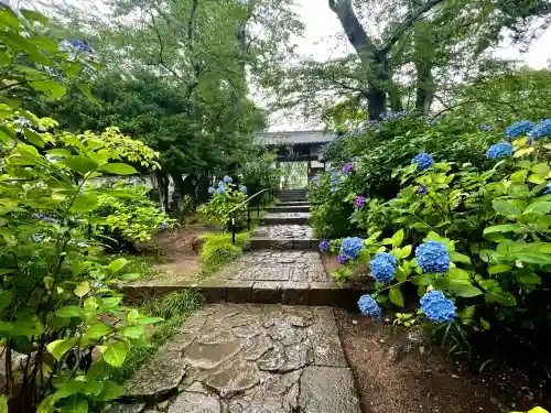 資福寺の{uncategorized: "未分類", other: "その他", undefined: "問題あり", building: "その他建物", grave: "お墓", sacred_gate: "鳥居", guardian: "狛犬", statue: "像", buddha: "仏像", history: "歴史", nature: "自然", garden: "庭園", animal: "動物", pagoda: "塔", temizu: "手水舎", mountain_gate: "山門・神門", sanctuary: "本殿・本堂", subordinate: "末社・摂社", art: "芸術", scenery: "景色", jizo: "地蔵", ema: "絵馬", goshuin: "御朱印", omikuji: "おみくじ", items: "授与品その他", amulet: "お守り", goshuincho: "御朱印帳", eats: "食事", festival: "お祭り", votive_dance: "神楽", shichigosan: "七五三参", wedding: "結婚式", experience: "体験その他", initially: "初詣", around: "周辺", anti_infection: "感染症対策"}