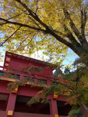 祐徳稲荷神社の山門・神門