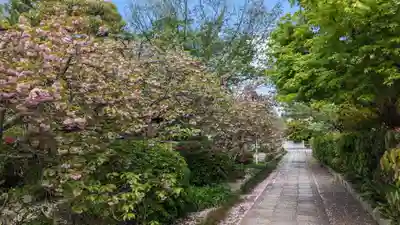本満寺(本願満足寺)(京都府)