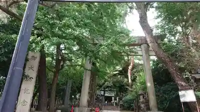 長崎神社の鳥居