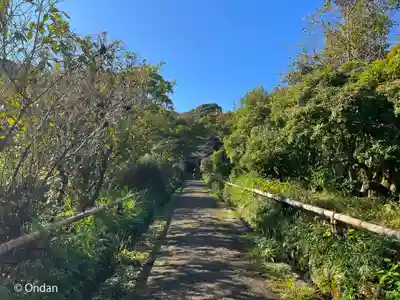 浄瑠璃寺(京都府)