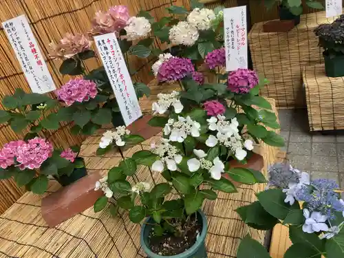 十番稲荷神社のその他建物