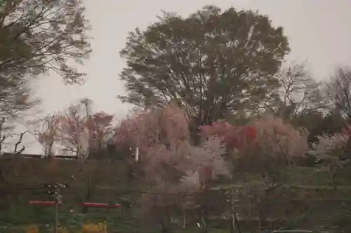 阿久津「田村神社」（郡山市阿久津町）旧社名：伊豆箱根三嶋三社の庭園