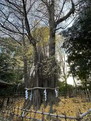 大國魂神社(東京都)