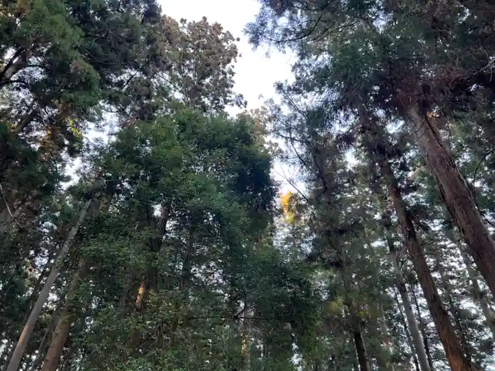 大宮温泉神社の自然