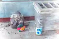 大杉神社(宮城県)