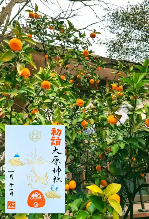 大宮・大原神社(千葉県)