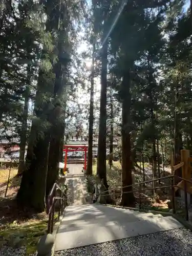 須山浅間神社の鳥居