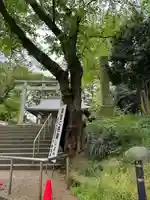 高岡市護国神社の自然
