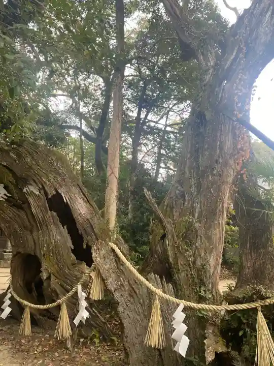 大山祇神社の{uncategorized: "未分類", other: "その他", undefined: "問題あり", building: "その他建物", grave: "お墓", sacred_gate: "鳥居", guardian: "狛犬", statue: "像", buddha: "仏像", history: "歴史", nature: "自然", garden: "庭園", animal: "動物", pagoda: "塔", temizu: "手水舎", mountain_gate: "山門・神門", sanctuary: "本殿・本堂", subordinate: "末社・摂社", art: "芸術", scenery: "景色", jizo: "地蔵", ema: "絵馬", goshuin: "御朱印", omikuji: "おみくじ", items: "授与品その他", amulet: "お守り", goshuincho: "御朱印帳", eats: "食事", festival: "お祭り", votive_dance: "神楽", shichigosan: "七五三参", wedding: "結婚式", experience: "体験その他", initially: "初詣", around: "周辺", anti_infection: "感染症対策"}