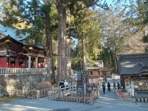 三峯神社(埼玉県)