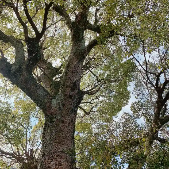 蟻通神社の{uncategorized: "未分類", other: "その他", undefined: "問題あり", building: "その他建物", grave: "お墓", sacred_gate: "鳥居", guardian: "狛犬", statue: "像", buddha: "仏像", history: "歴史", nature: "自然", garden: "庭園", animal: "動物", pagoda: "塔", temizu: "手水舎", mountain_gate: "山門・神門", sanctuary: "本殿・本堂", subordinate: "末社・摂社", art: "芸術", scenery: "景色", jizo: "地蔵", ema: "絵馬", goshuin: "御朱印", omikuji: "おみくじ", items: "授与品その他", amulet: "お守り", goshuincho: "御朱印帳", eats: "食事", festival: "お祭り", votive_dance: "神楽", shichigosan: "七五三参", wedding: "結婚式", experience: "体験その他", initially: "初詣", around: "周辺", anti_infection: "感染症対策"}
