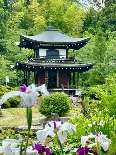 勧修寺(京都府)