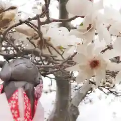 神明社（国府宮神明社）の自然