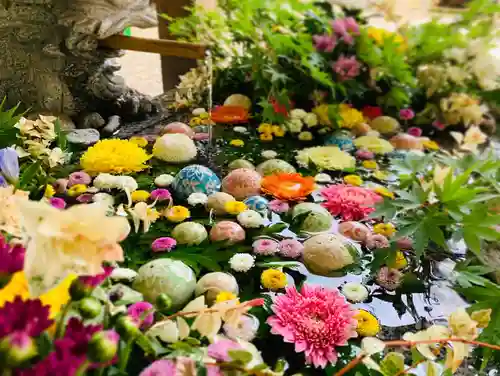 滑川神社 - 仕事と子どもの守り神の手水舎