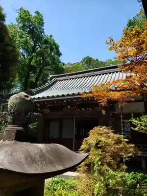 妙法寺(東京都)