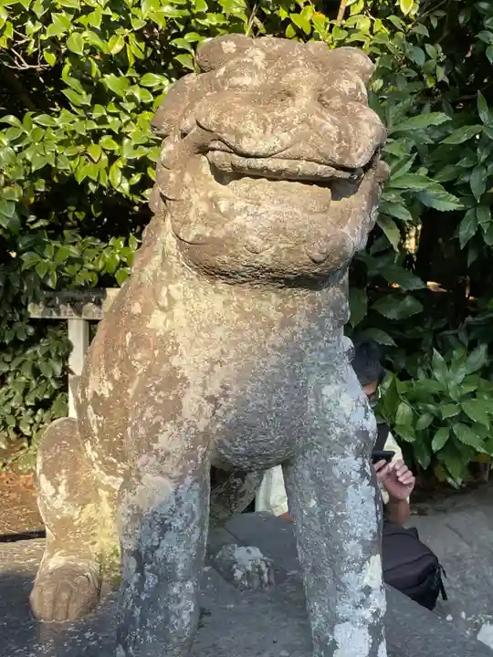 鶴岡八幡宮の狛犬