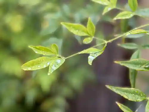 西方山極楽寺(岐阜県)