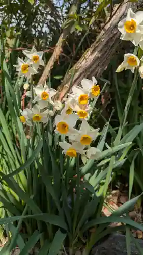 惠心院（恵心院）(京都府)