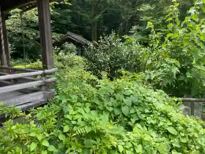 安養寺(京都府)