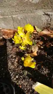 阿邪訶根神社の自然(2021年02月17日(水) 11時37分57秒投稿)