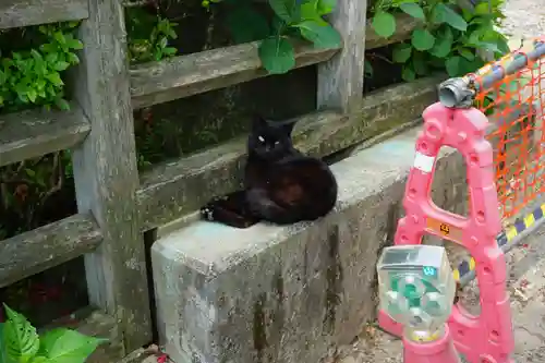 蚕影神社の動物