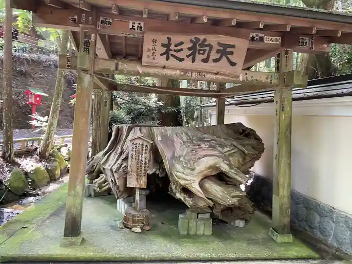 目の霊山 油山寺(静岡県)