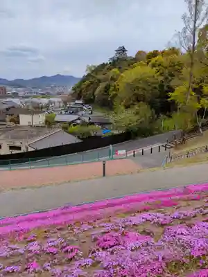 三光稲荷神社の周辺