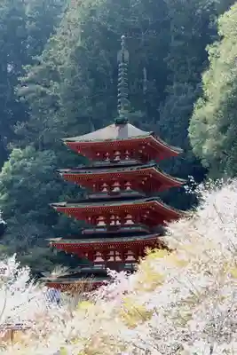 長谷寺(奈良県)