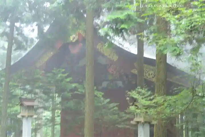 三峯神社(埼玉県)